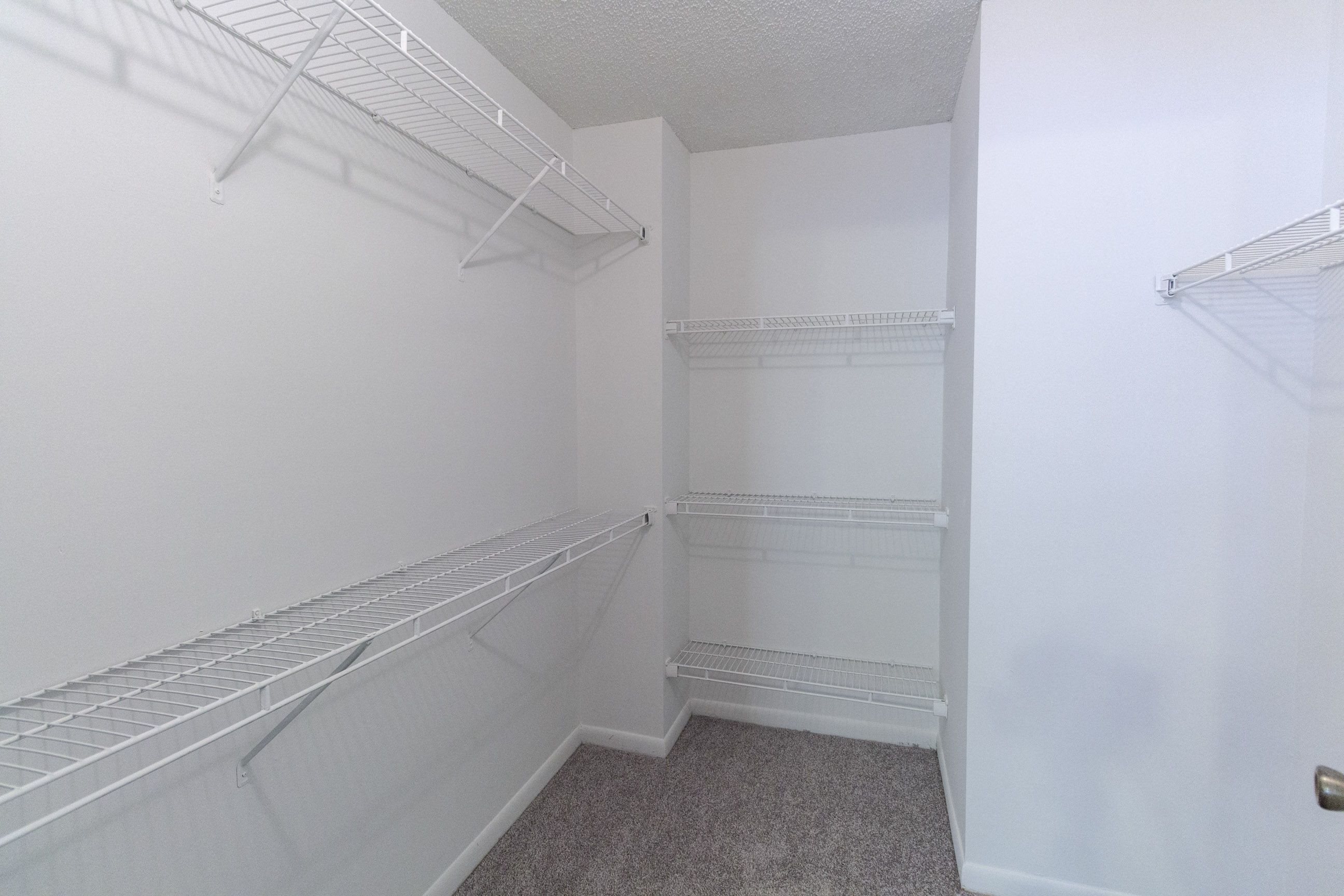 Gallery Photo 8